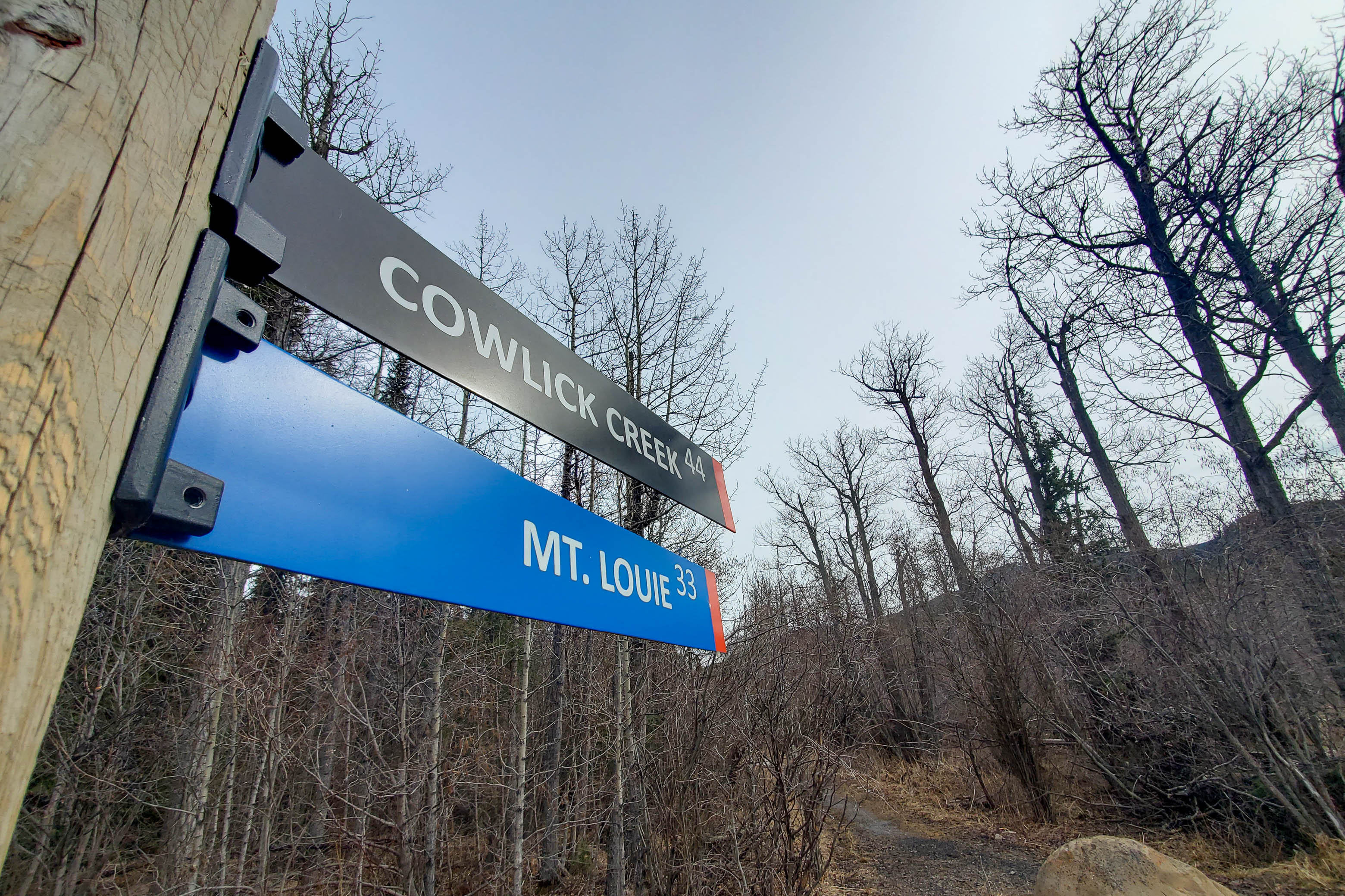 Mount Louie