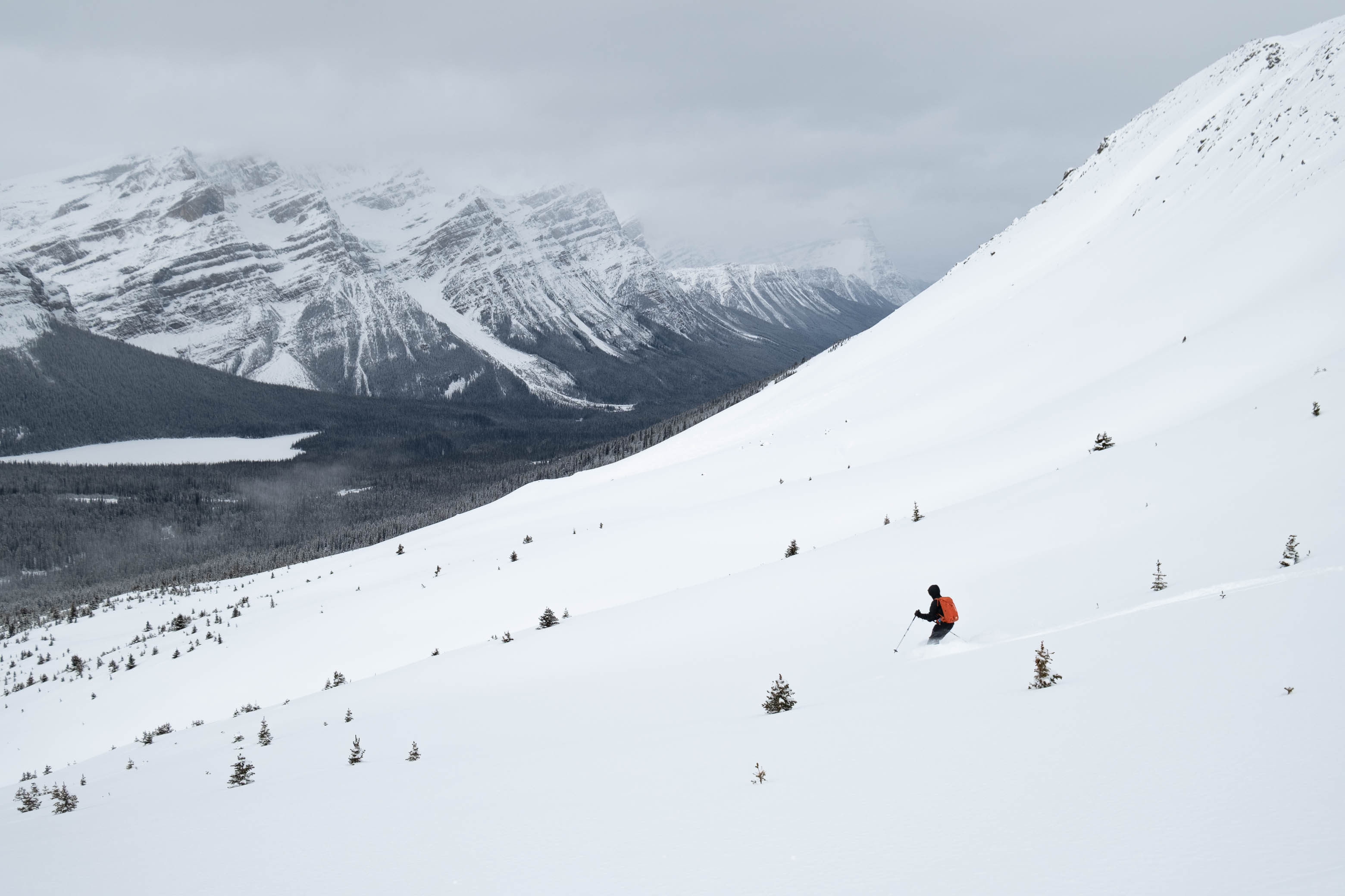 Observation Roadside Glades