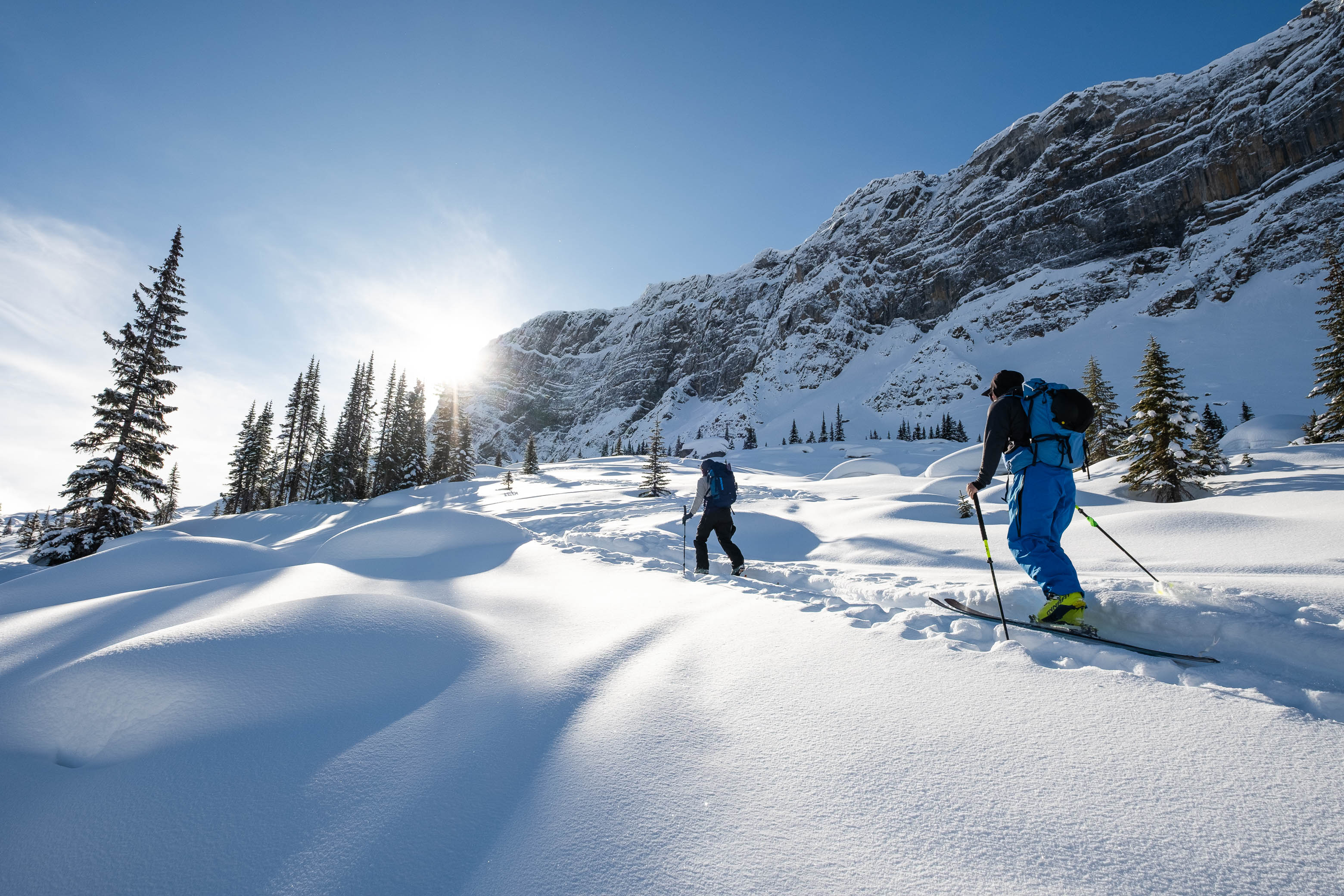 Crowfoot Glades